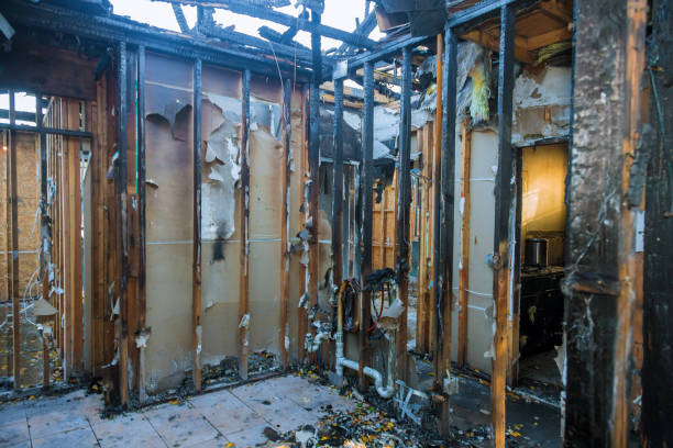 Professional Smoke Damage Removal technician working in Dennison, MN